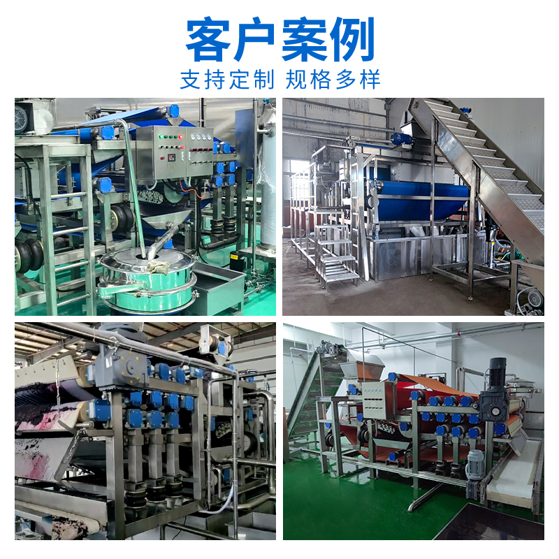 带式水果压榨生产线